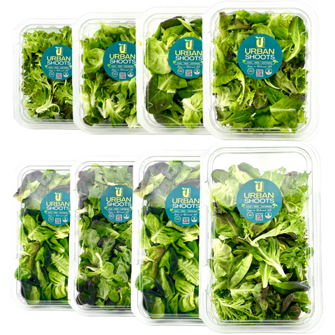 Lettuce Mix Subscriptions