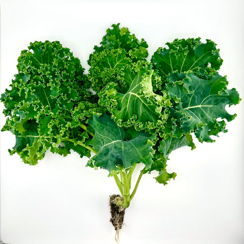 Kale, Winterbor