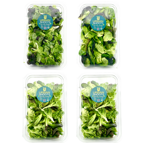 Signature Lettuce Mix Subscriptions