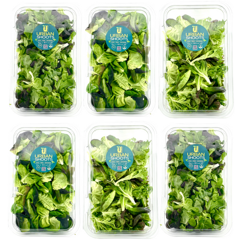 Signature Lettuce Mix Subscriptions