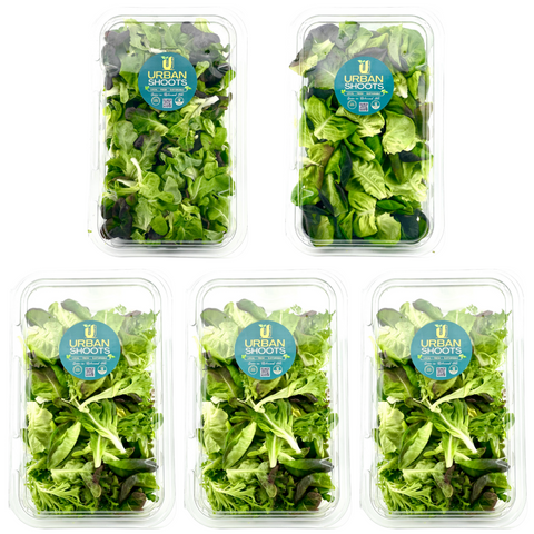 Signature Lettuce Mix Subscriptions