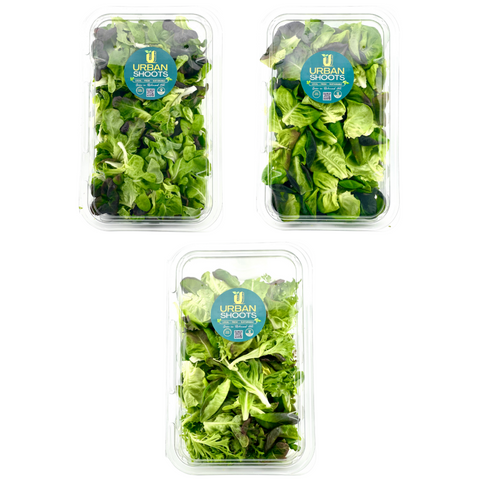 Signature Lettuce Mix Subscriptions